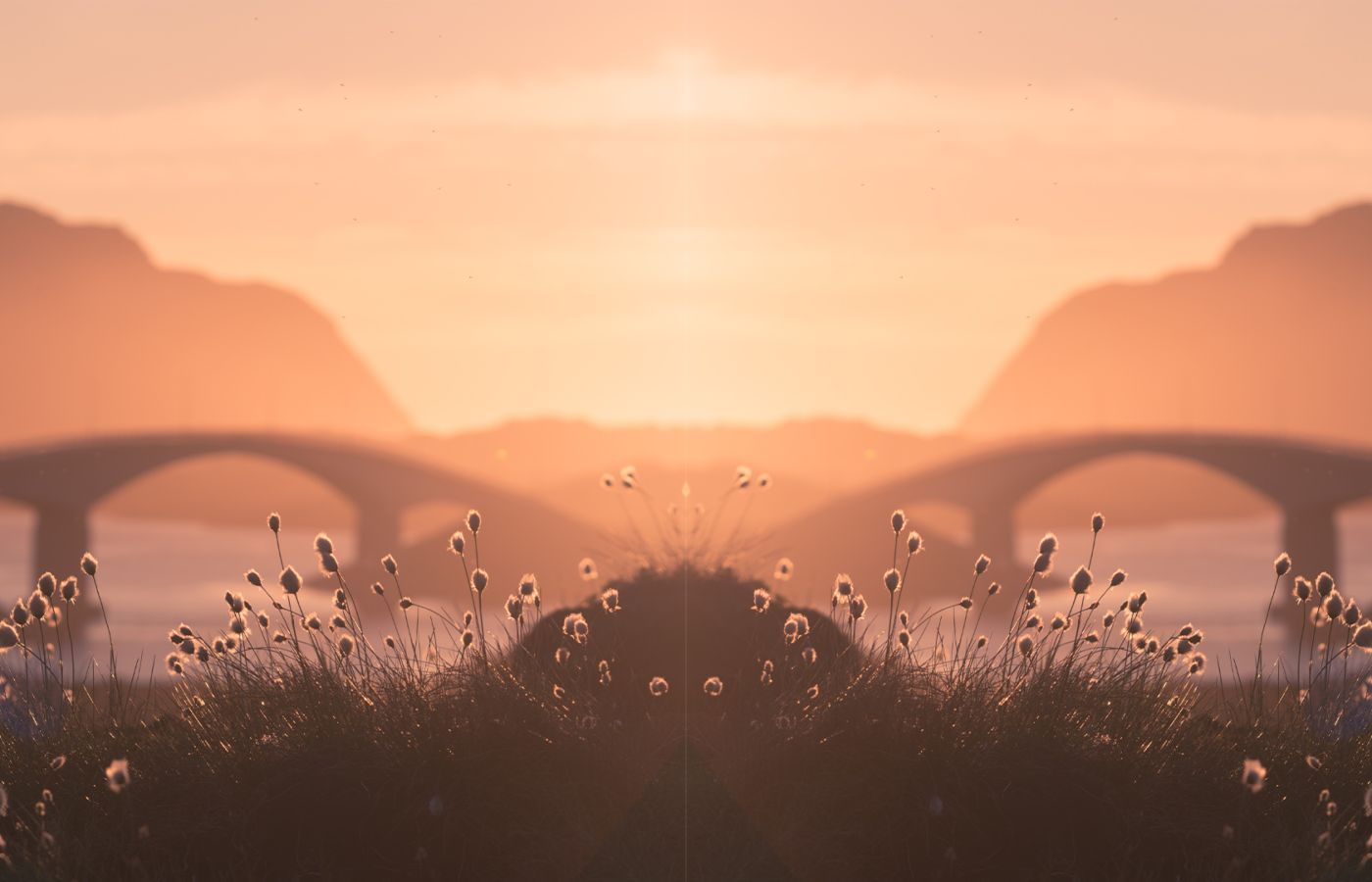 header image