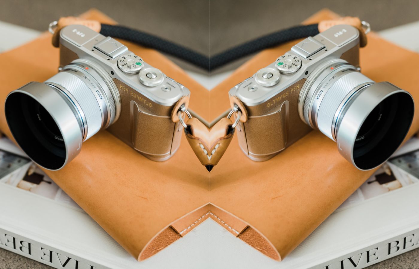 header image
